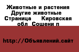 Животные и растения Другие животные - Страница 3 . Кировская обл.,Сошени п.